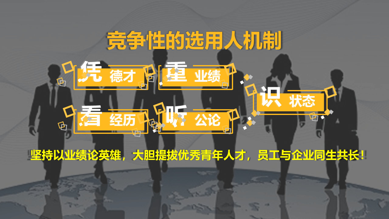 职业发展规划